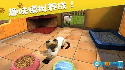 我的动物王国图3