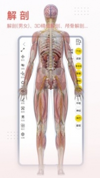 3Dbody解剖安卓官方版