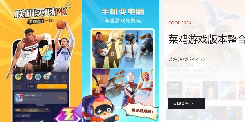 菜鸡游戏版本整合
