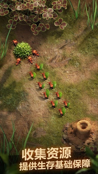 小小蚁国直装版