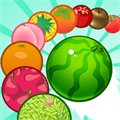 西瓜的进化之路手机免费版