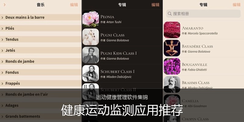 健康运动监测应用推荐