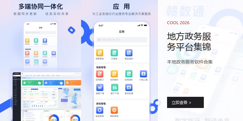 地方政务服务平台集锦