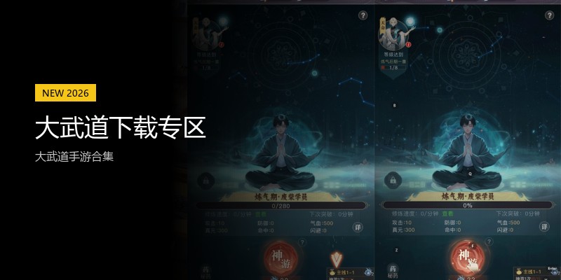 大武道下载专区
