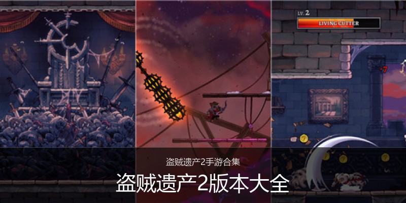 盗贼遗产2版本大全