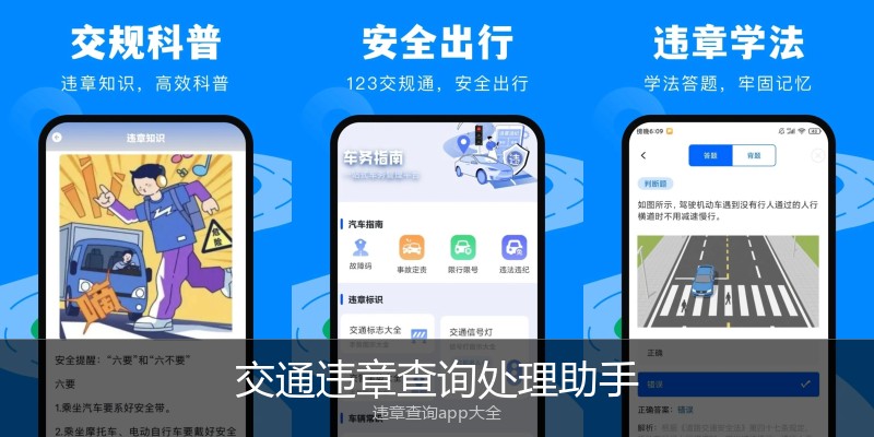 交通违章查询处理助手