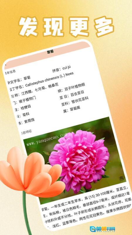 花满人间花语图1