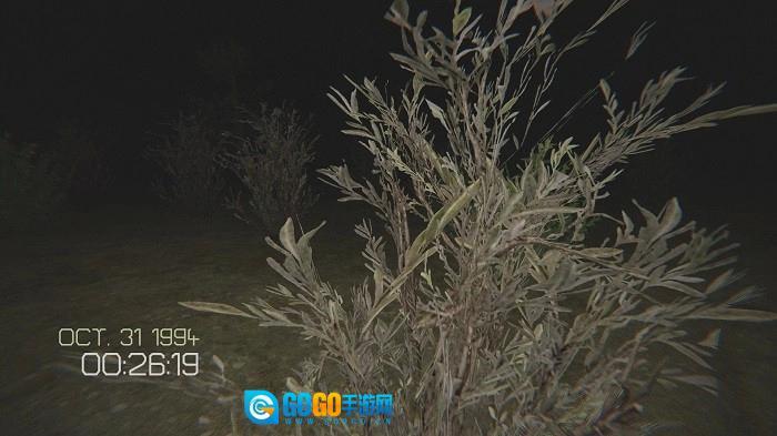 不要尖叫中文联机版图3