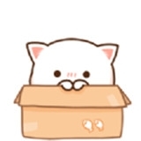 流行小说城免费原版