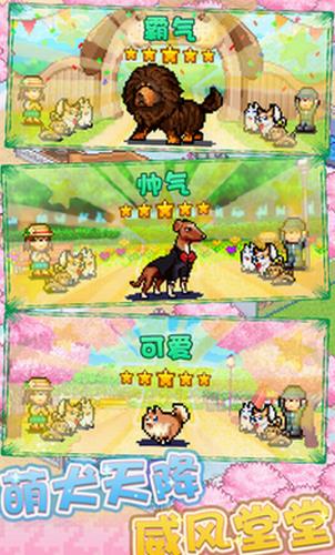 发现狗狗乐园安卓直装版图2