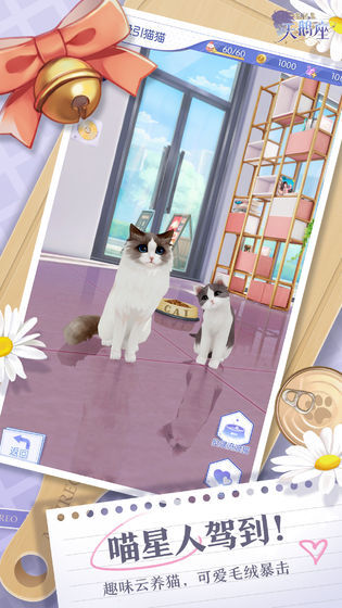 梦间集天鹅座手机最新版图1