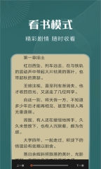 星芒小说软件官方正版图2