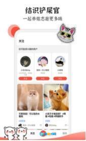 猫猫社图1