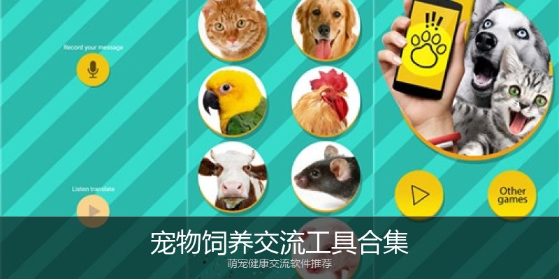 宠物饲养交流工具合集