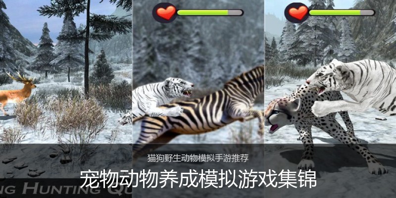 宠物动物养成模拟游戏集锦