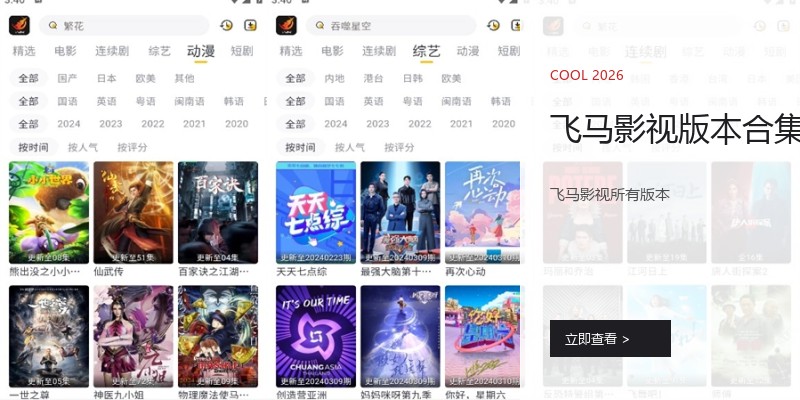 飞马影视版本合集