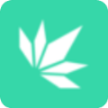 颜畅小说直装版