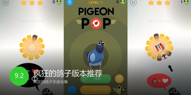 疯狂的鸽子版本推荐