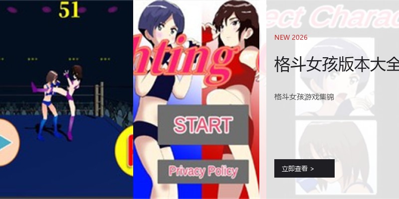 格斗女孩版本大全