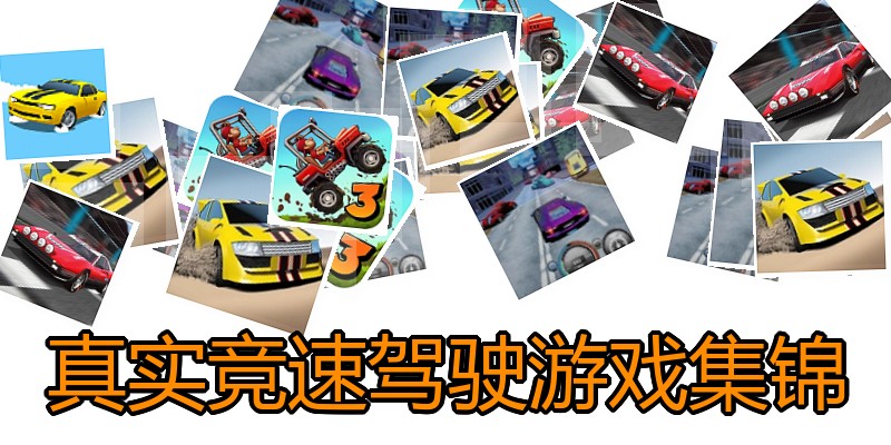 真实竞速驾驶游戏集锦