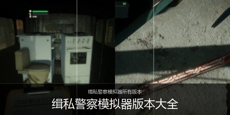 缉私警察模拟器版本大全