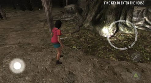 白夫人游戏安装包图2