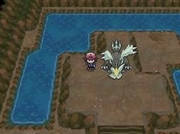 口袋妖怪黑白2安卓免费版(2)