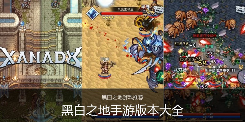黑白之地手游版本大全