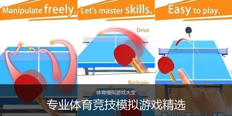 专业体育竞技模拟游戏精选