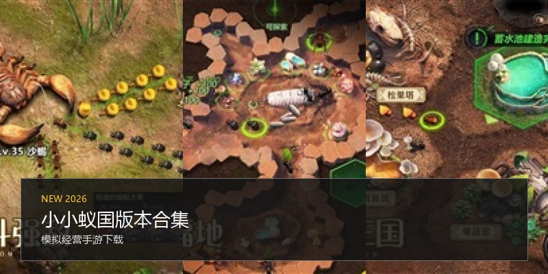 小小蚁国版本合集