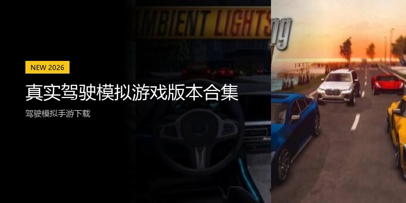 真实驾驶模拟游戏版本合集