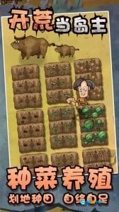 开荒当岛主免广告版图4