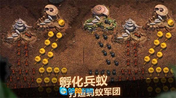 小小蚁国安卓版图4