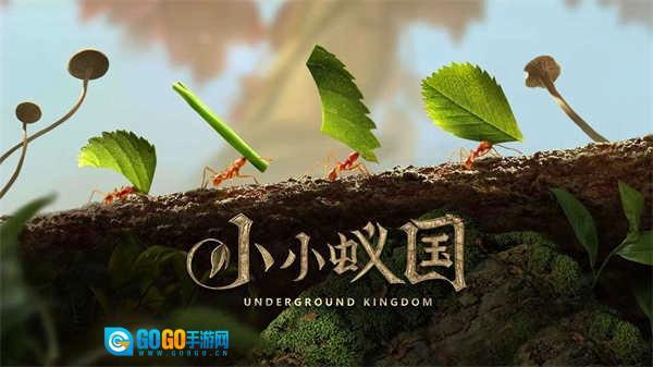 小小蚁国安卓版图3