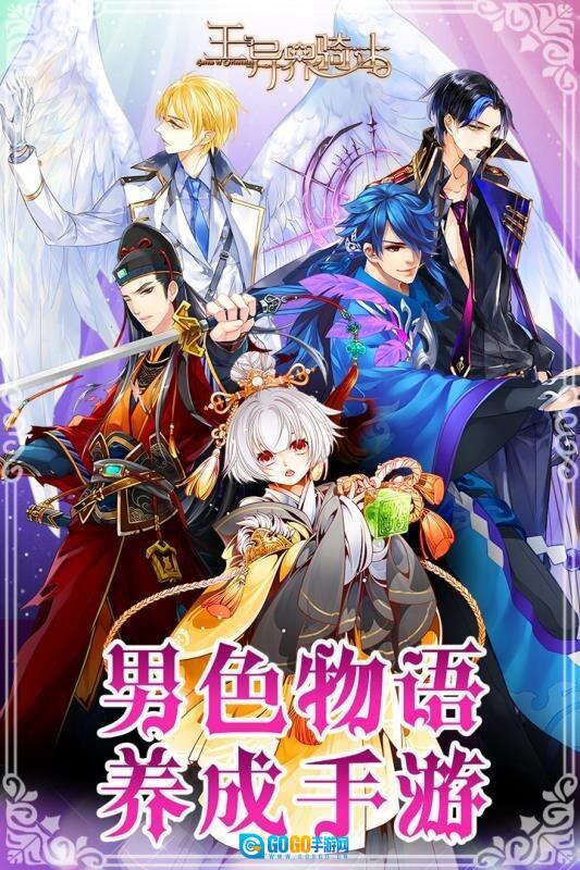 王与异界骑士图2