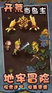 开荒当岛主免广告版图3