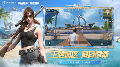 和平精英通用版