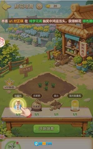 我的花园世界游戏图1