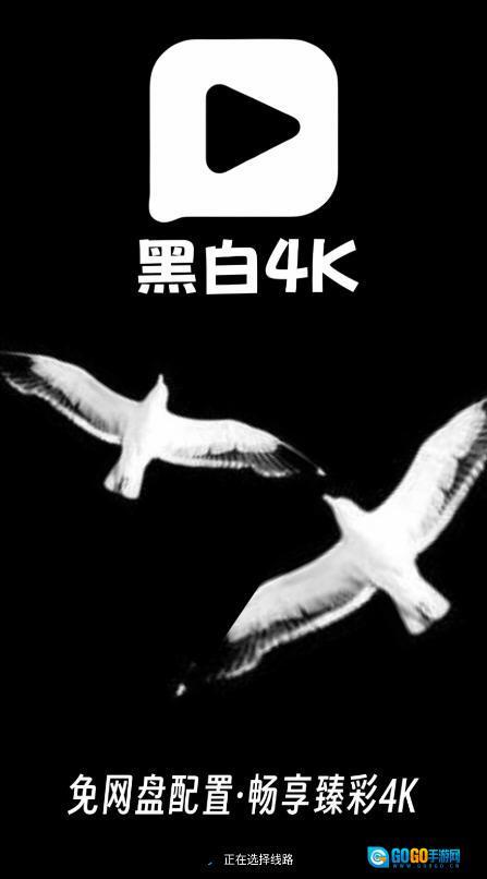 黑白4k图1