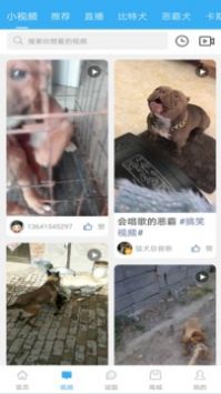 猛犬俱乐部最新版图2