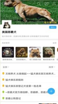 猛犬俱乐部最新版图3