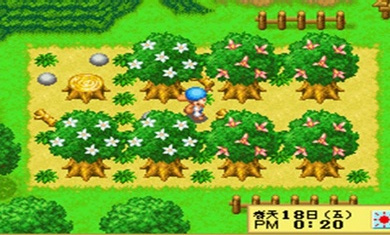 牧场物语精灵驿站游戏正版图3