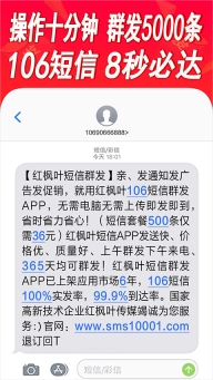 通讯录短信群发平台原版图4