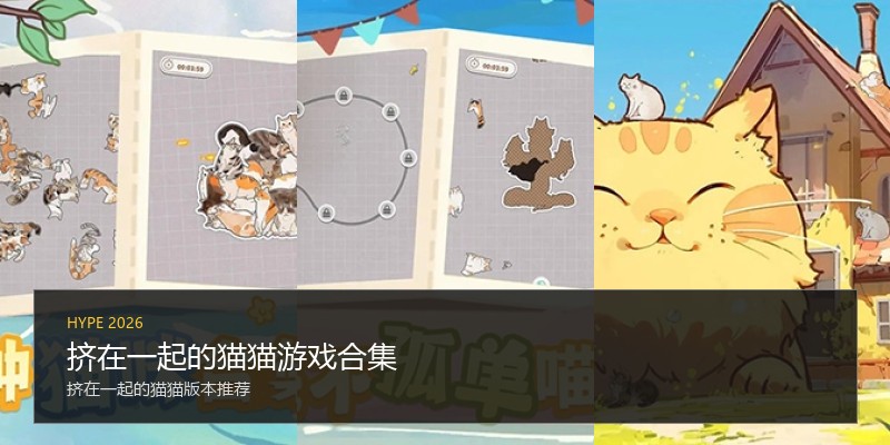 挤在一起的猫猫游戏合集