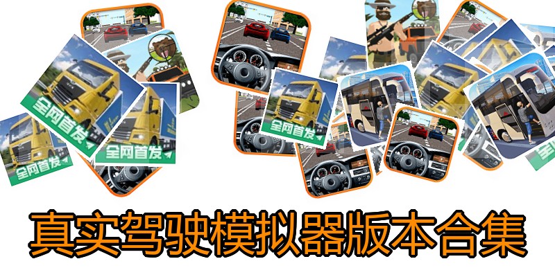真实驾驶模拟器版本合集