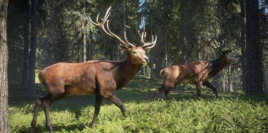 猎人荒野的召唤安卓免费版图2