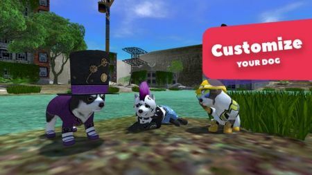 美国Zoom动物手游版图4