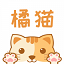 橘猫小说官网版