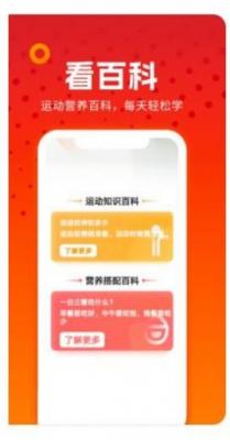 番茄小短剧纯净版截图3