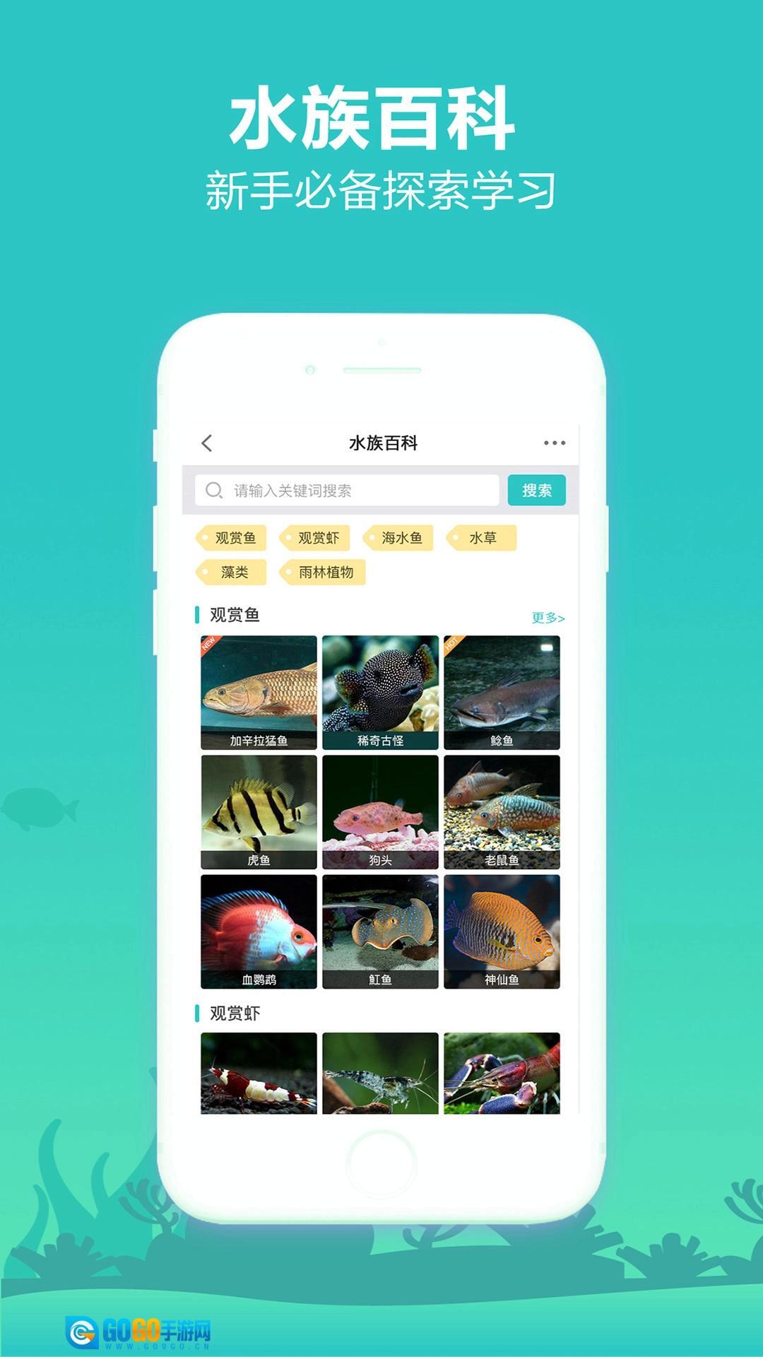 泡泡水族图5